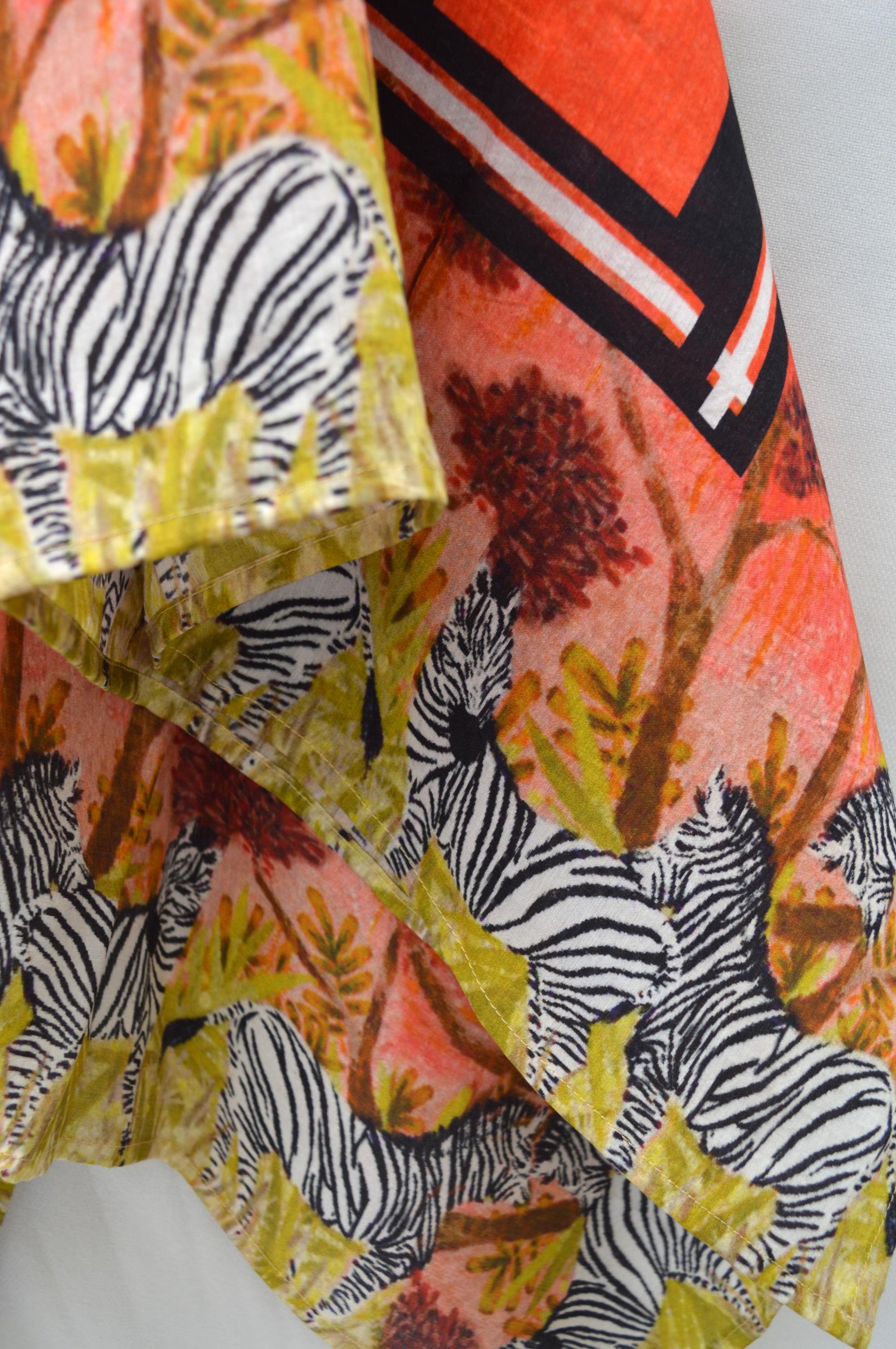 Zebra World