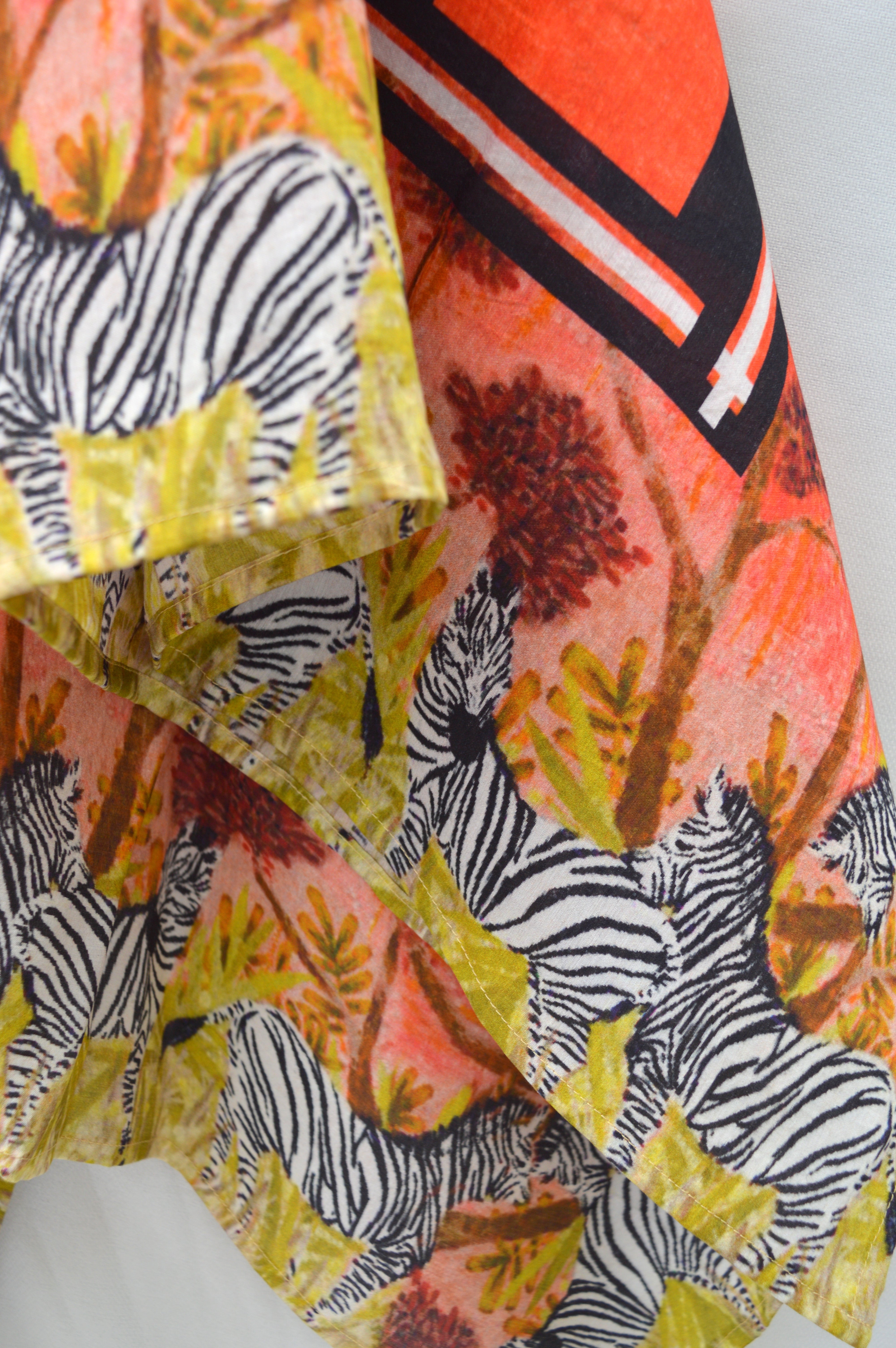 zebra world